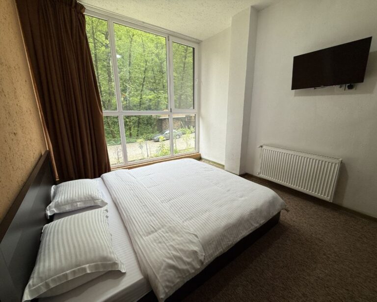 silvane economy room