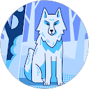 Sina F. profile picture